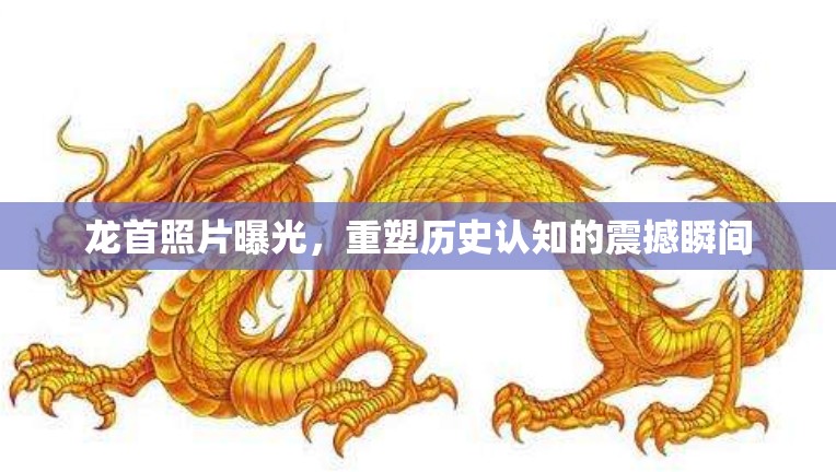 龍首照片曝光，重塑歷史認(rèn)知的震撼瞬間