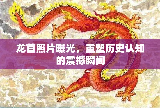龍首照片曝光，重塑歷史認(rèn)知的震撼瞬間