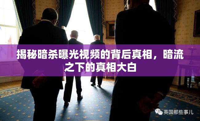 暗殺視頻揭秘，揭露隱藏在暗流之下的真相