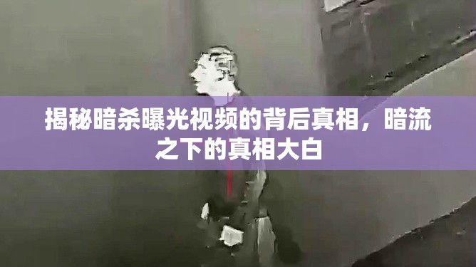 暗殺視頻揭秘，揭露隱藏在暗流之下的真相