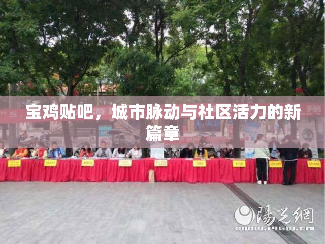 寶雞貼吧，城市脈動與社區(qū)活力的新篇章