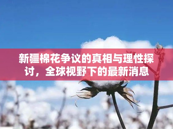新疆棉花爭議，全球視角下的真相探究與理性分析