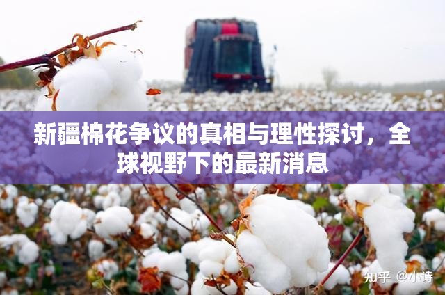新疆棉花爭議，全球視角下的真相探究與理性分析
