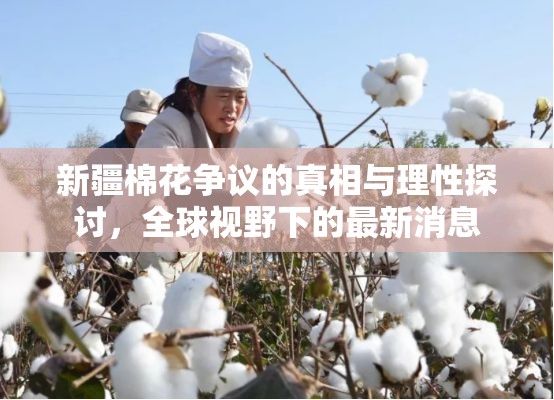 新疆棉花爭議，全球視角下的真相探究與理性分析