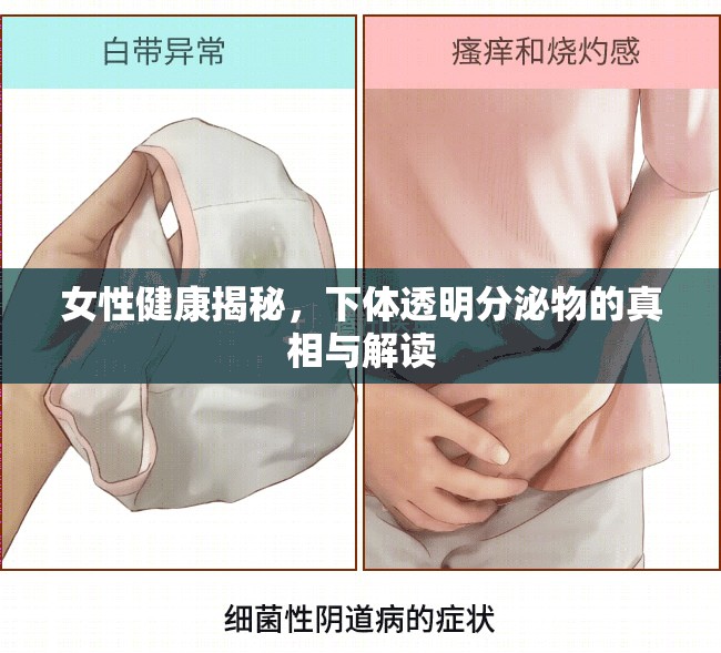 女性健康揭秘，下體透明分泌物的真相與解讀