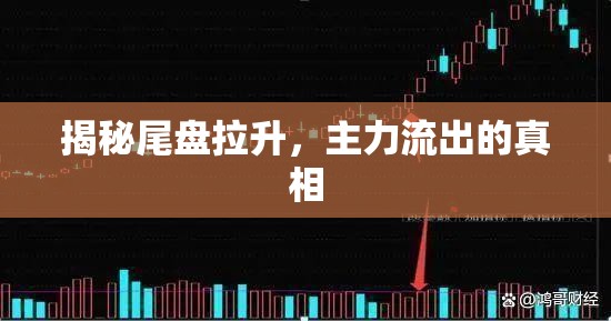 尾盤拉升背后，主力資金動向揭秘