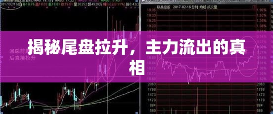 尾盤拉升背后，主力資金動向揭秘