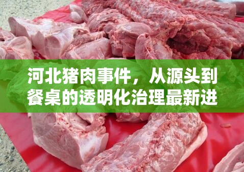 河北豬肉事件，從源頭到餐桌的透明化治理最新進展