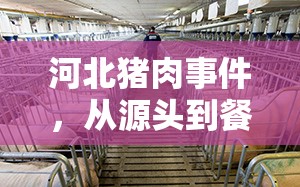 河北豬肉事件，從源頭到餐桌的透明化治理最新進展