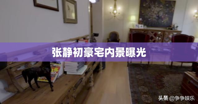 張靜初豪宅揭秘，奢華內(nèi)景大公開