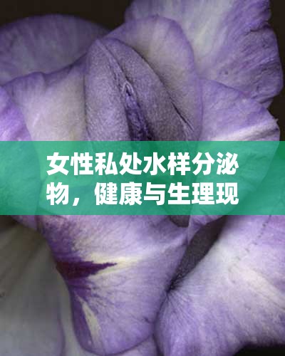 女性私處水樣分泌物，健康與生理現(xiàn)象的全面解讀