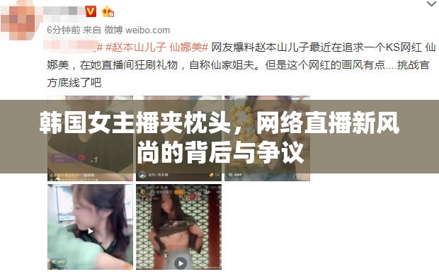 韓國(guó)女主播夾枕頭直播，新風(fēng)尚背后的爭(zhēng)議與影響