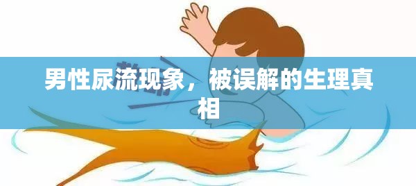 男性尿流現(xiàn)象，生理真相與常見誤解解析