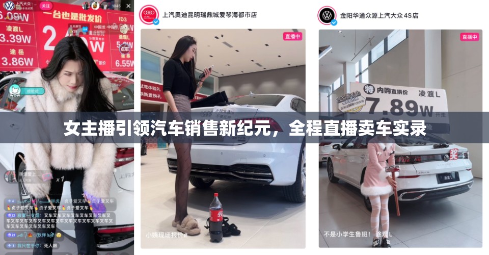 女主播引領(lǐng)汽車銷售新紀(jì)元，全程直播賣車實錄