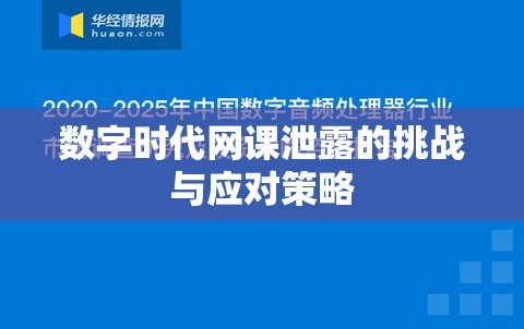數(shù)字時代網(wǎng)課泄露的挑戰(zhàn)與應(yīng)對策略