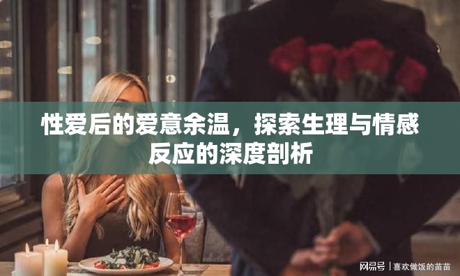 性愛與情感，生理與心理反應(yīng)的深度解析