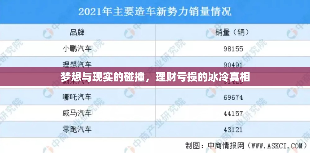 夢(mèng)想與現(xiàn)實(shí)，理財(cái)虧損的殘酷啟示