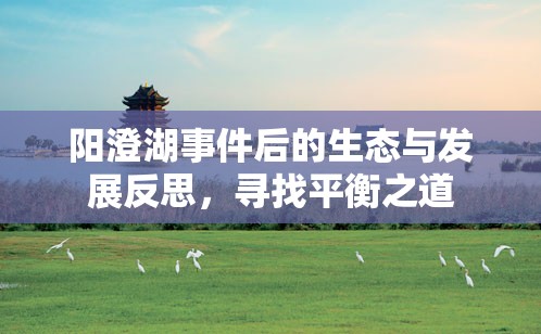 陽澄湖生態(tài)危機(jī)與可持續(xù)發(fā)展，尋求生態(tài)與發(fā)展的和諧平衡