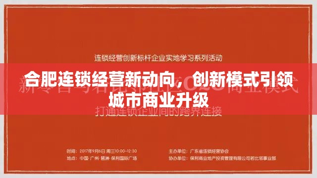 合肥商業(yè)新篇章，連鎖經(jīng)營創(chuàng)新模式引領(lǐng)城市升級
