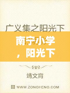 南寧小學(xué)，陽光下的陰影與教育之殤