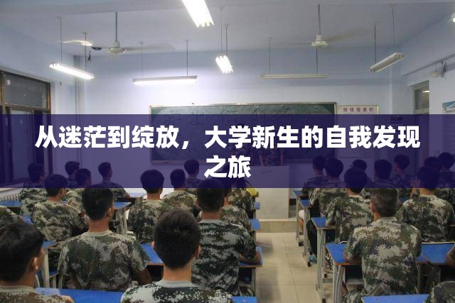 大學(xué)新生的自我發(fā)現(xiàn)之旅，從迷茫到綻放