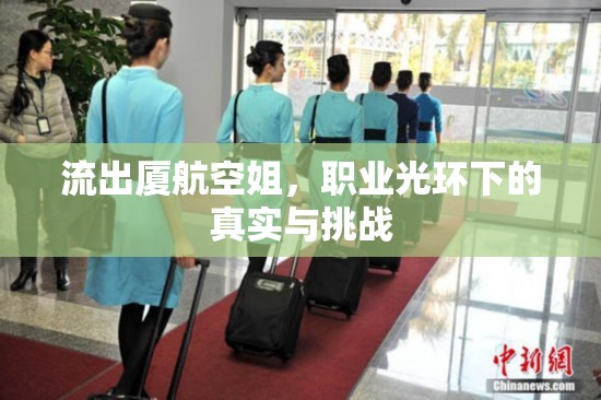 廈航空姐，職業(yè)光鮮背后的真實生活與挑戰(zhàn)