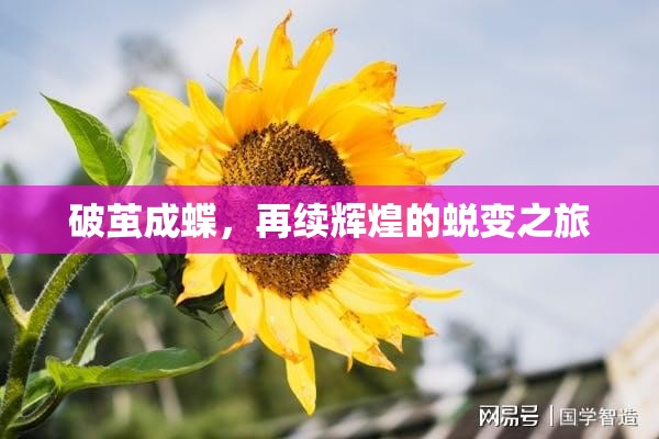 破繭成蝶，再續(xù)輝煌的蛻變之旅