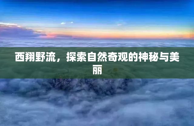 西翔野流，揭秘自然奇觀的神秘與美麗