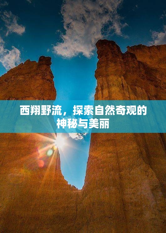 西翔野流，揭秘自然奇觀的神秘與美麗