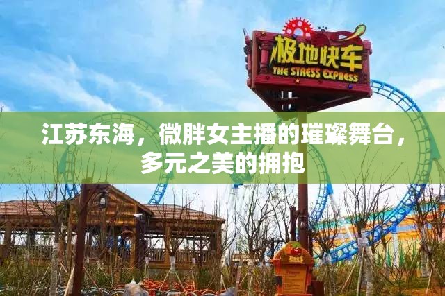 江蘇東海，微胖女主播的多元之美與璀璨舞臺