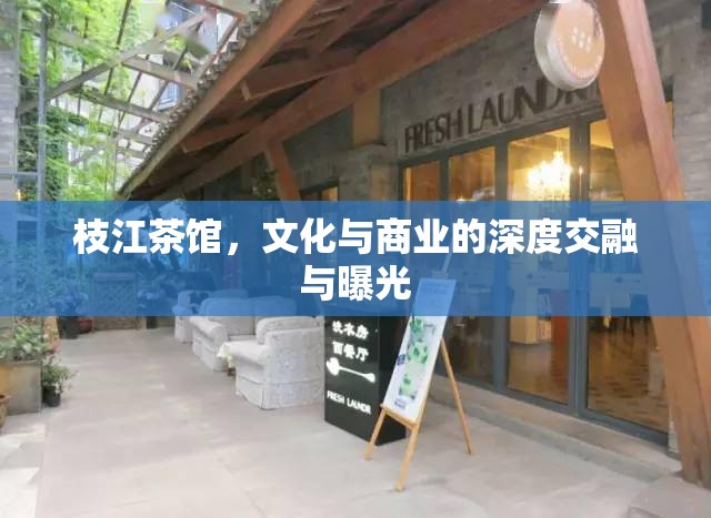 枝江茶館，文化交融與商業(yè)曝光的典范
