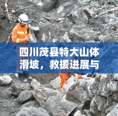 四川茂縣特大山體滑坡，救援行動(dòng)與重建前景