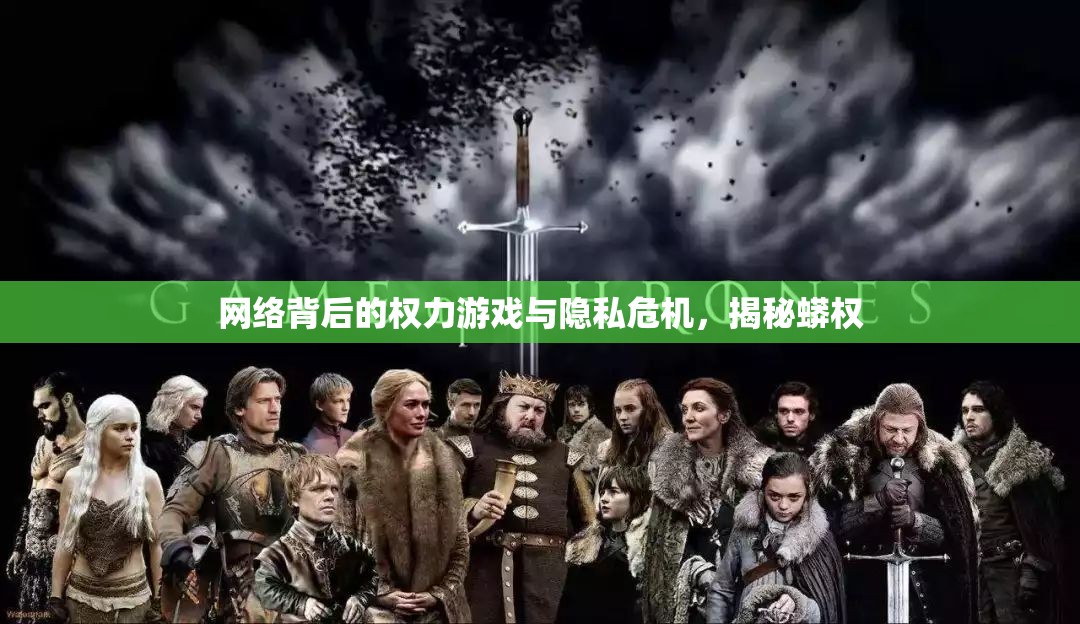 網(wǎng)絡(luò)權(quán)力博弈與隱私保衛(wèi)戰(zhàn)，揭秘?cái)?shù)字蟒權(quán)