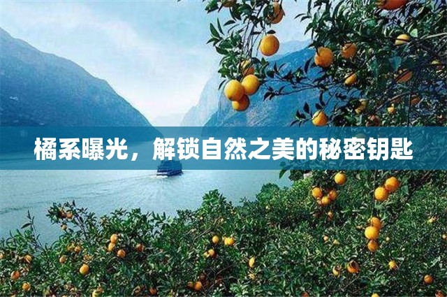 橘系曝光，解鎖自然之美的秘密鑰匙