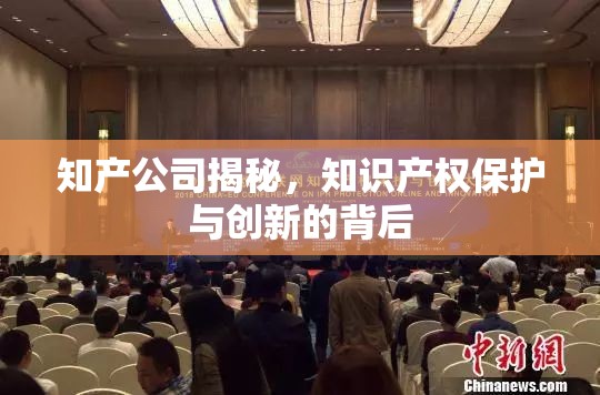 知識(shí)產(chǎn)權(quán)保護(hù)與創(chuàng)新，知產(chǎn)公司的內(nèi)幕揭秘