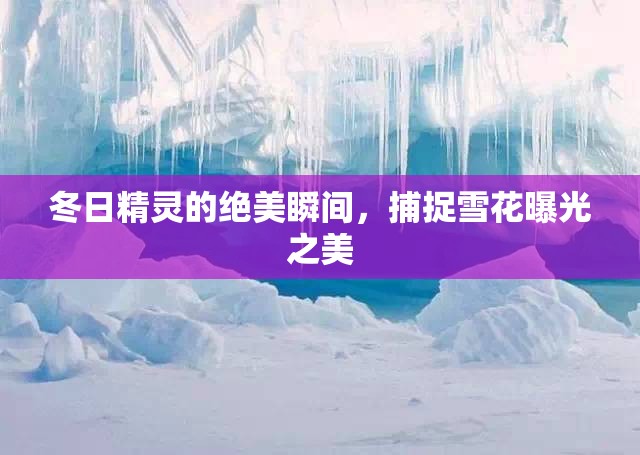 冬日精靈的絕美瞬間，捕捉雪花曝光之美