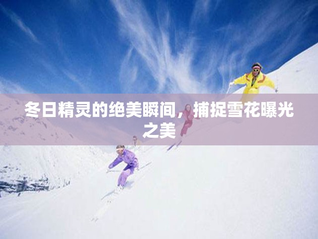 冬日精靈的絕美瞬間，捕捉雪花曝光之美