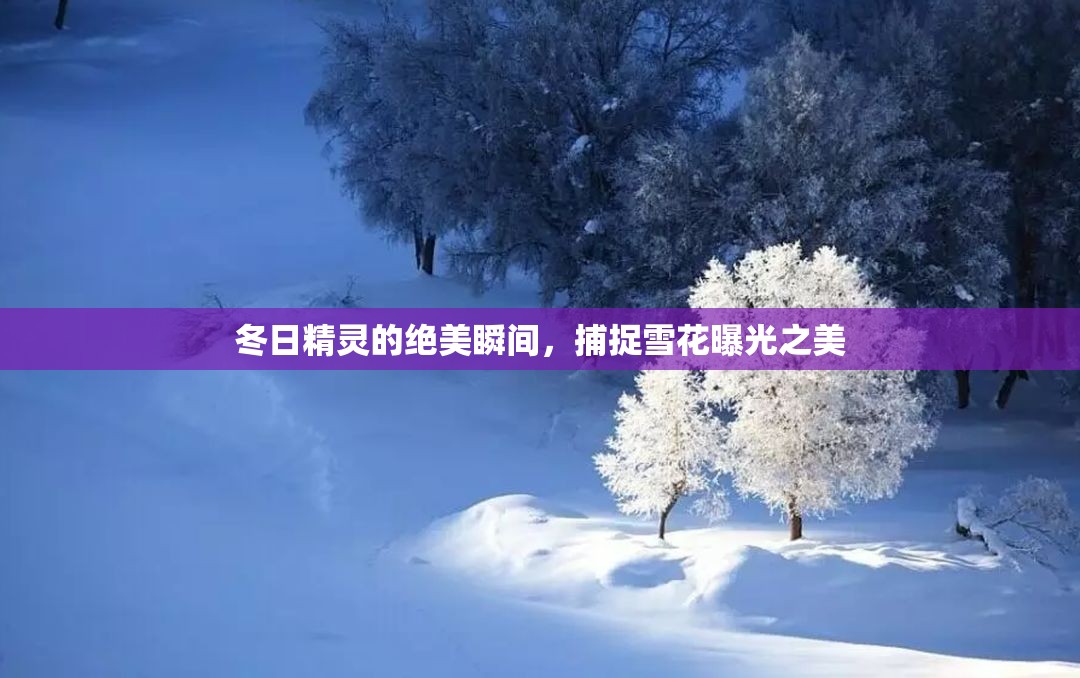 冬日精靈的絕美瞬間，捕捉雪花曝光之美