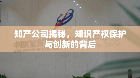 知識(shí)產(chǎn)權(quán)保護(hù)與創(chuàng)新，知產(chǎn)公司的內(nèi)幕揭秘