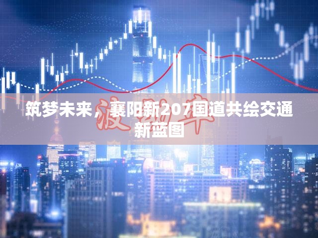 襄陽新207國道，共筑交通新篇章，夢想未來