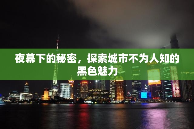夜幕下的隱秘魅力，揭秘城市暗角的神秘色彩
