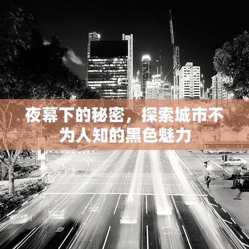 夜幕下的隱秘魅力，揭秘城市暗角的神秘色彩