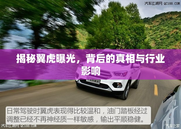 翼虎事件深度解析，真相揭露與行業(yè)震蕩