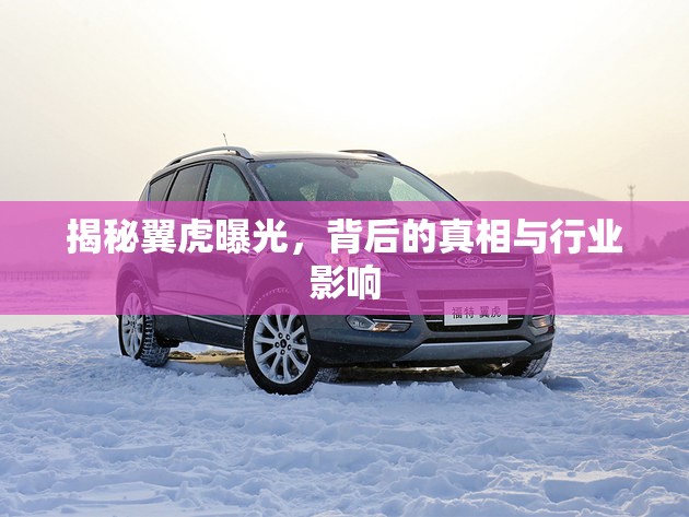 翼虎事件深度解析，真相揭露與行業(yè)震蕩