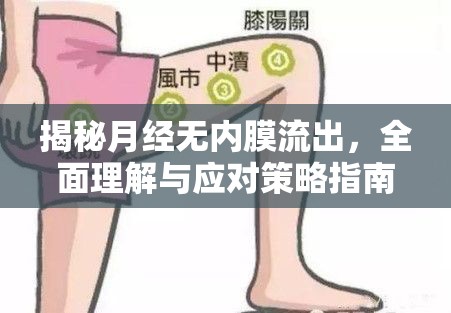 揭秘月經(jīng)無(wú)內(nèi)膜流出，全面理解與應(yīng)對(duì)策略指南