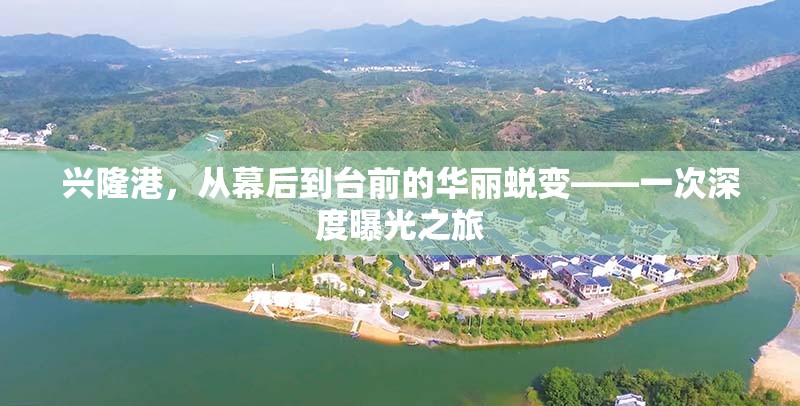興隆港的華麗轉(zhuǎn)身，幕后到臺(tái)前的深度探秘