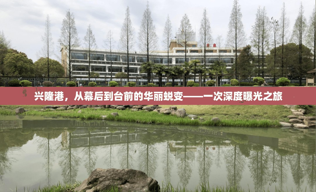 興隆港的華麗轉(zhuǎn)身，幕后到臺(tái)前的深度探秘