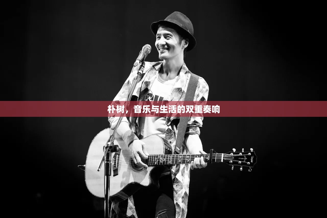 樸樹，音樂與生活的和諧交響