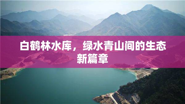 白鶴林水庫，生態(tài)綠洲中的綠色發(fā)展新篇章