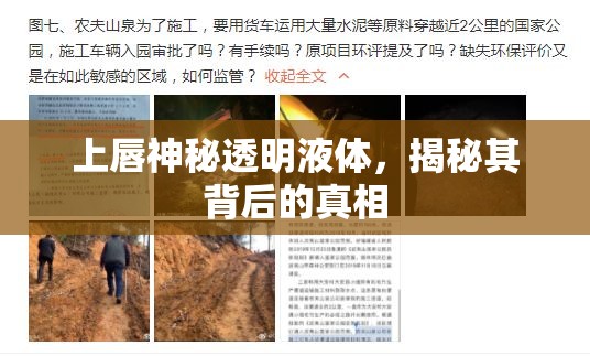 揭秘上唇透明液體，探索背后的科學(xué)真相
